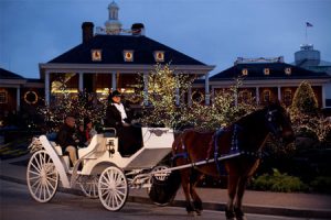 Horse and Carriage
